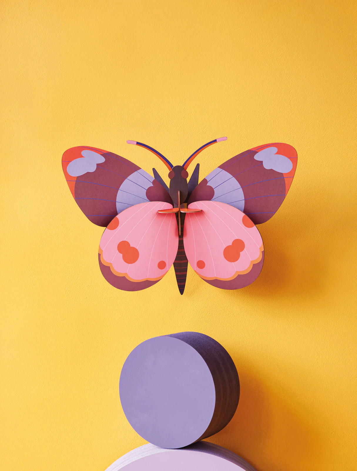 Bellissima Butterfly - Image 2