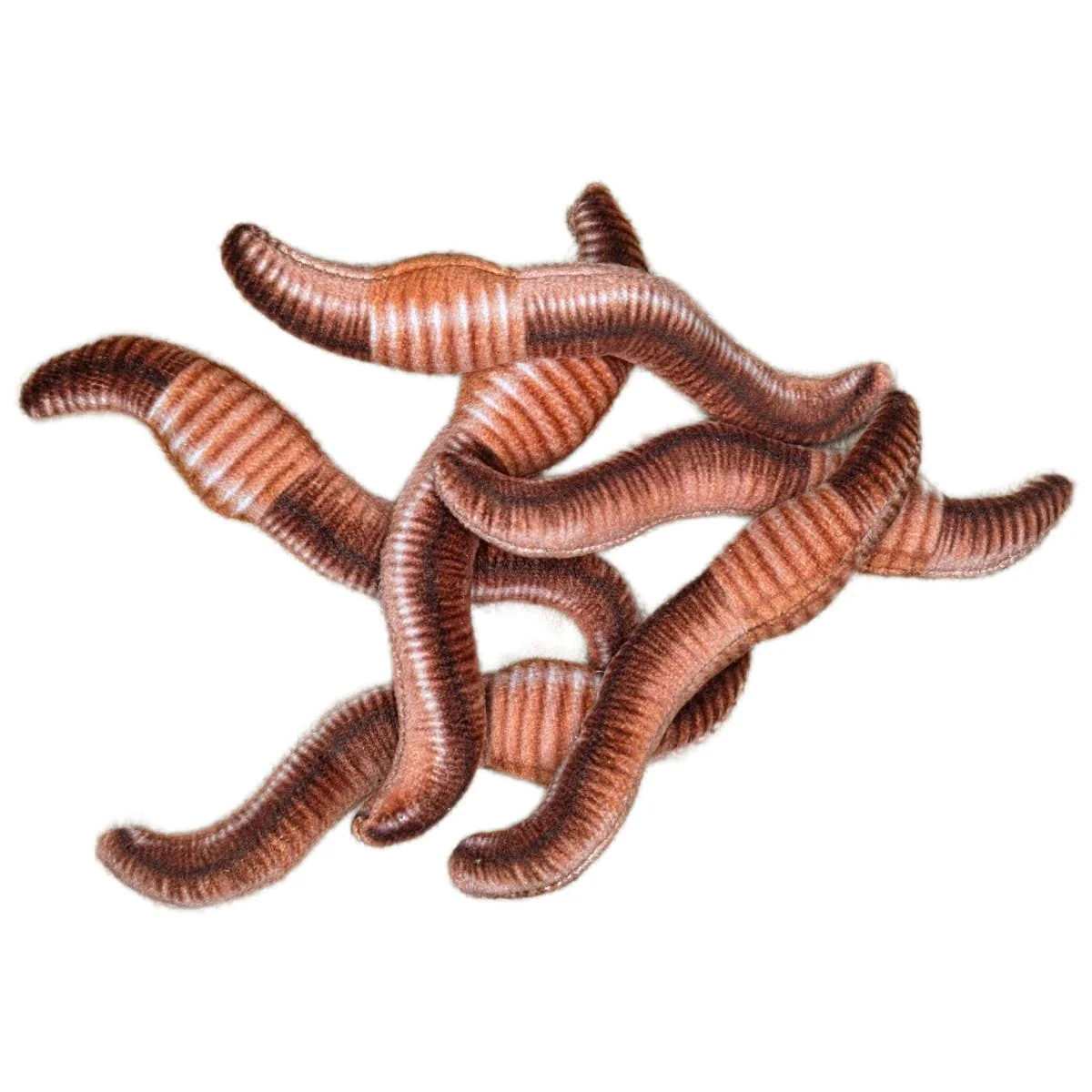 Canned Worms - Image 2