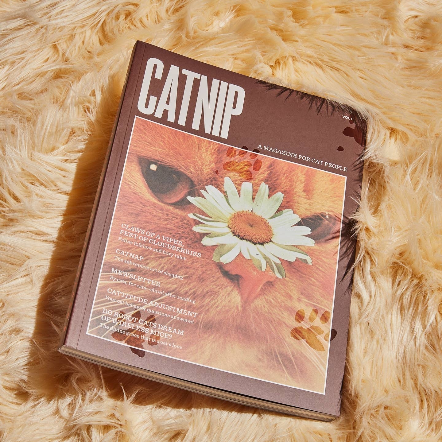 Catnip Magazine - Image 2