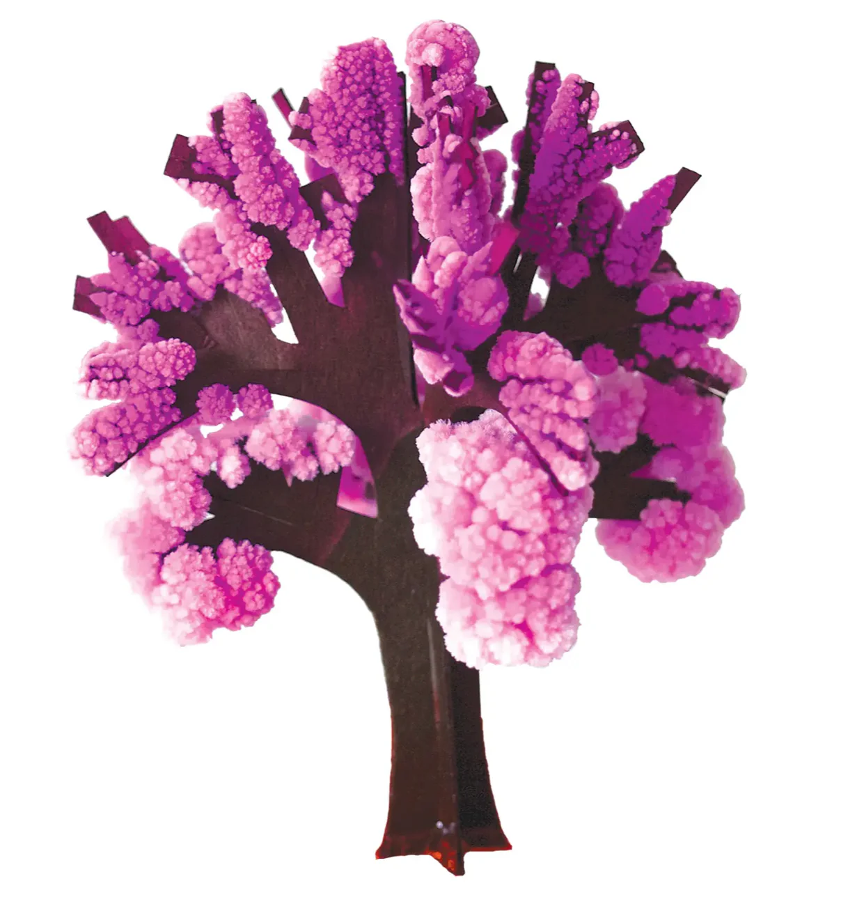 Cherry Tree Crystal Growing Kit - Image 2