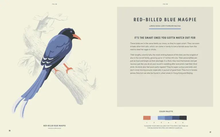 Coloready Birds - Image 2