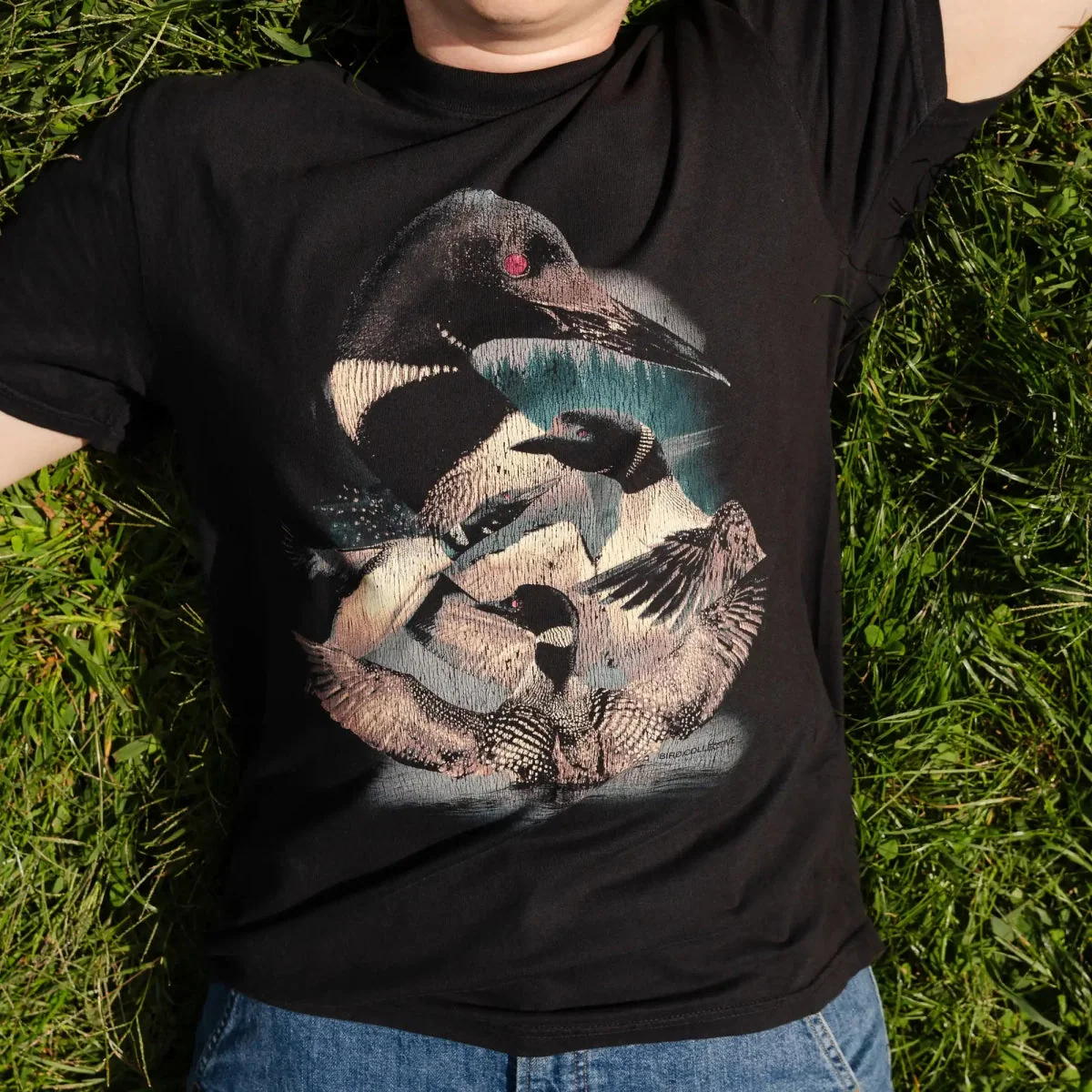 Common Loon Lake Tee - Image 2