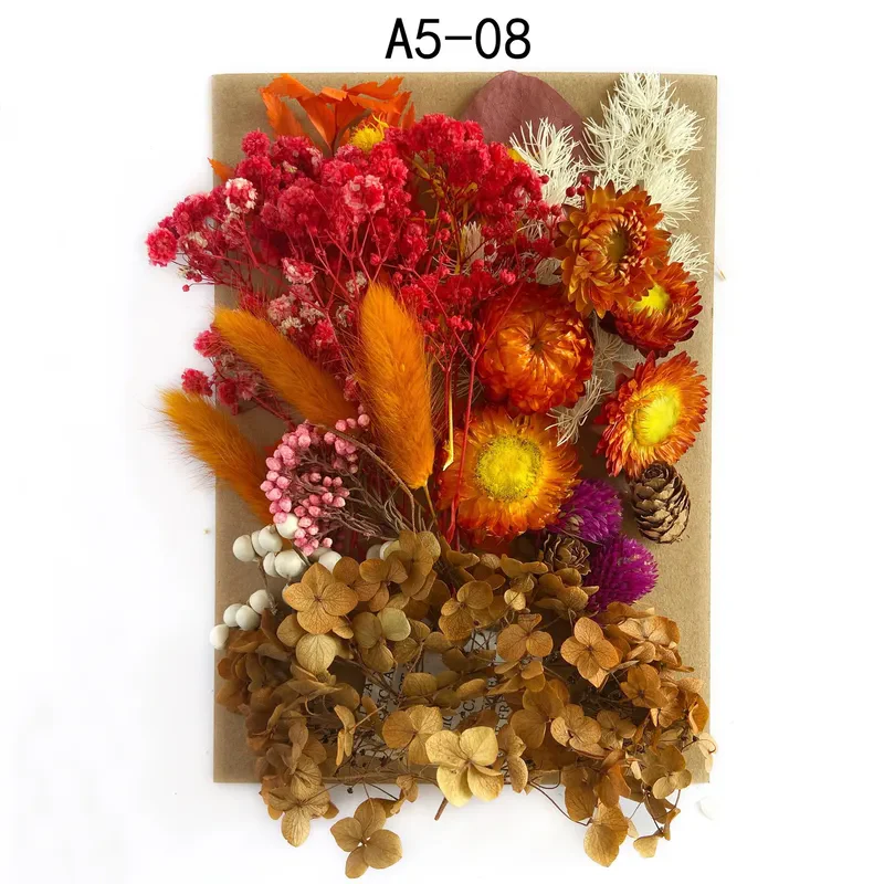Dried Flower Kit - Image 3