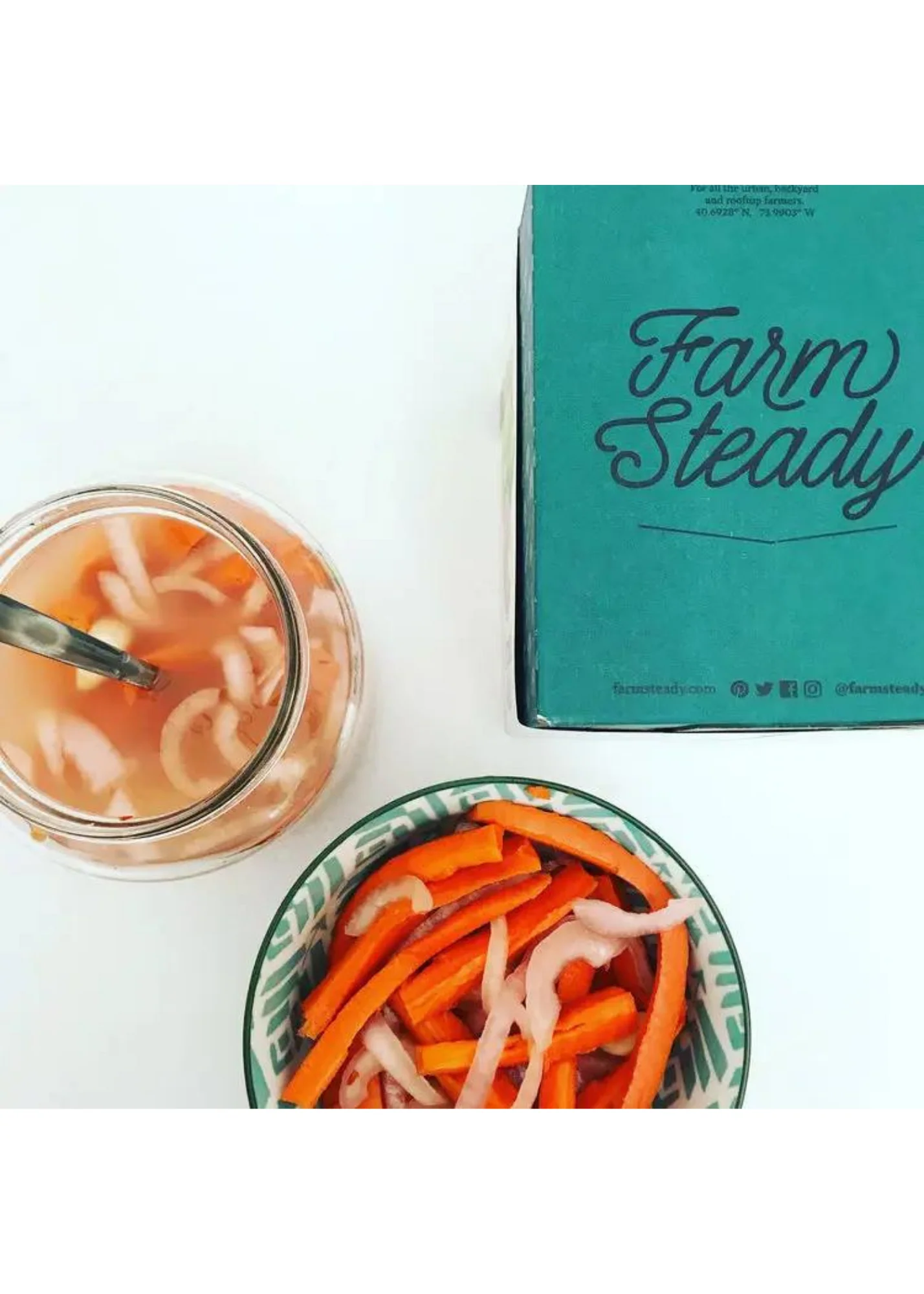 Fermented Vegetable Kit - Image 3