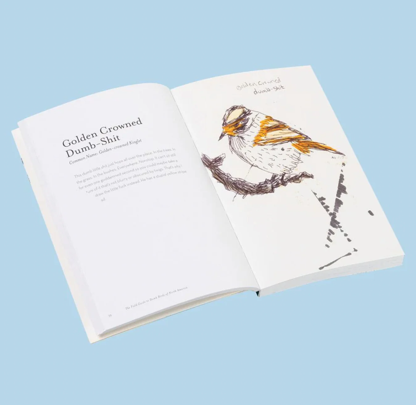 Field Guide To Dumb Birds of North America - Image 2
