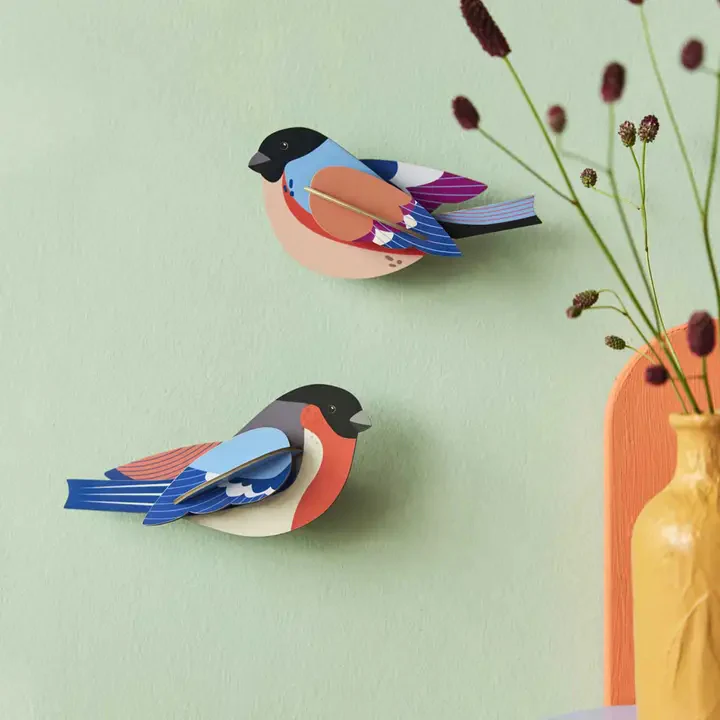 Finches Kit - Image 2