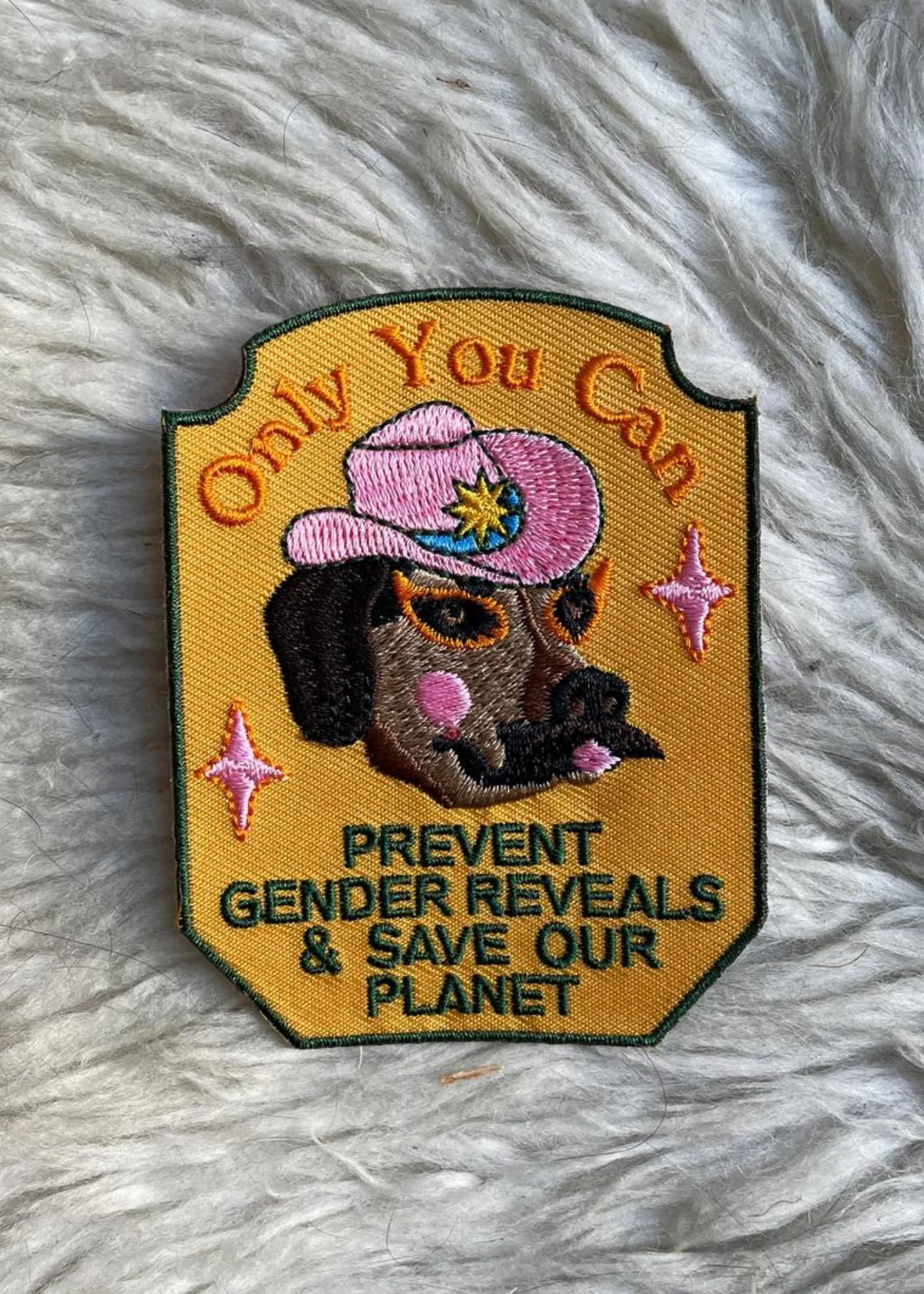 Gender Reveals Patch