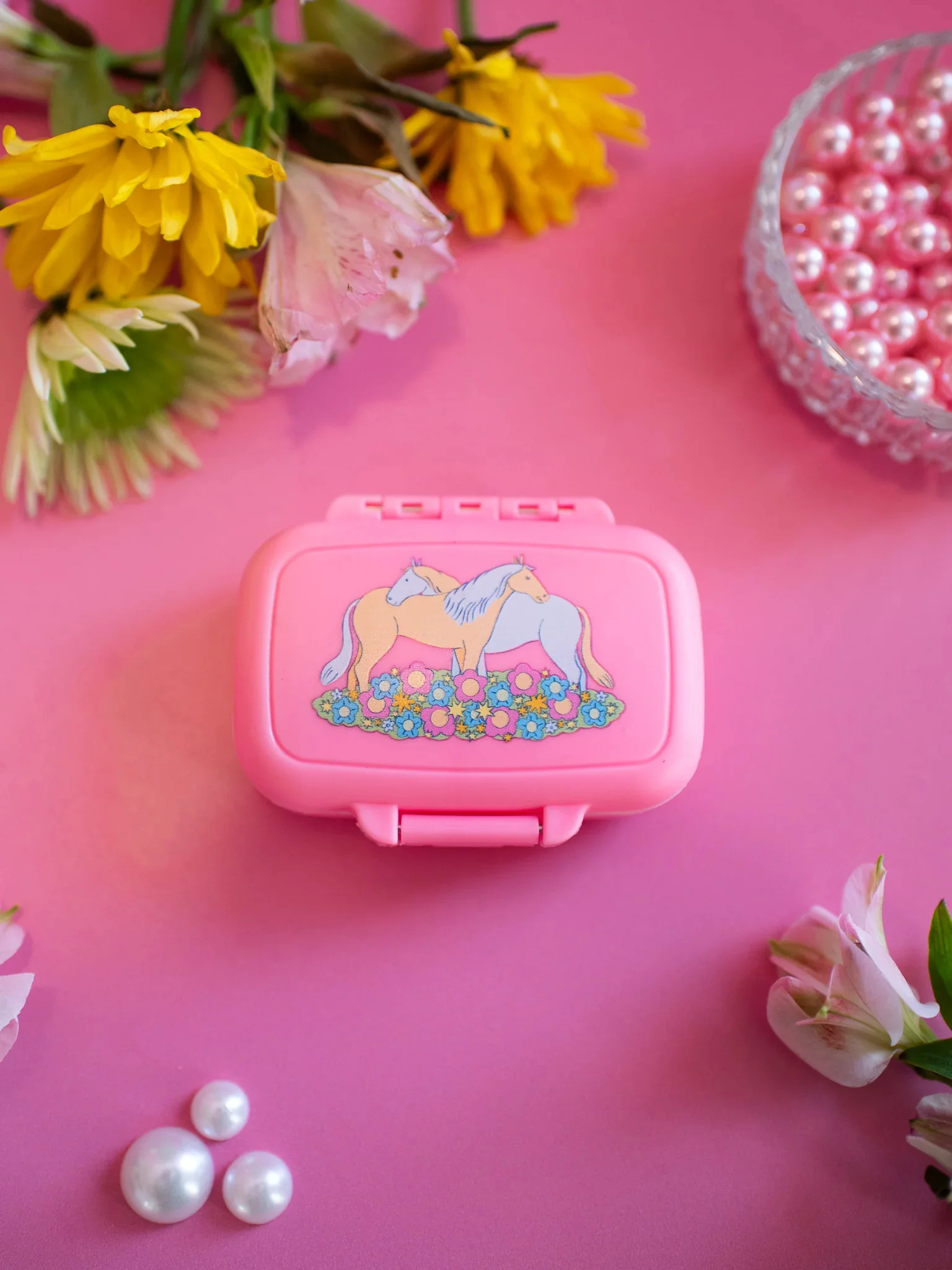 Horse Girl Pill Case