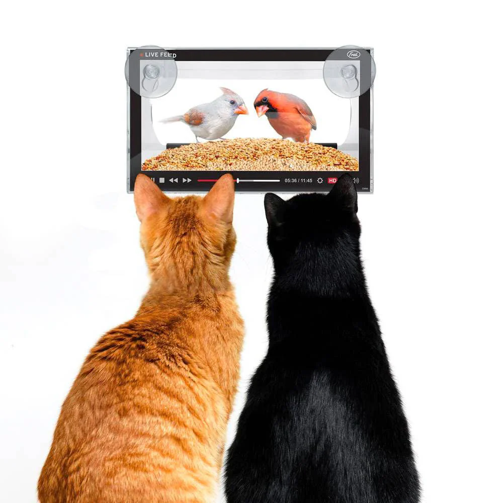 Howligans Live Feed Bird Feeder - Image 3