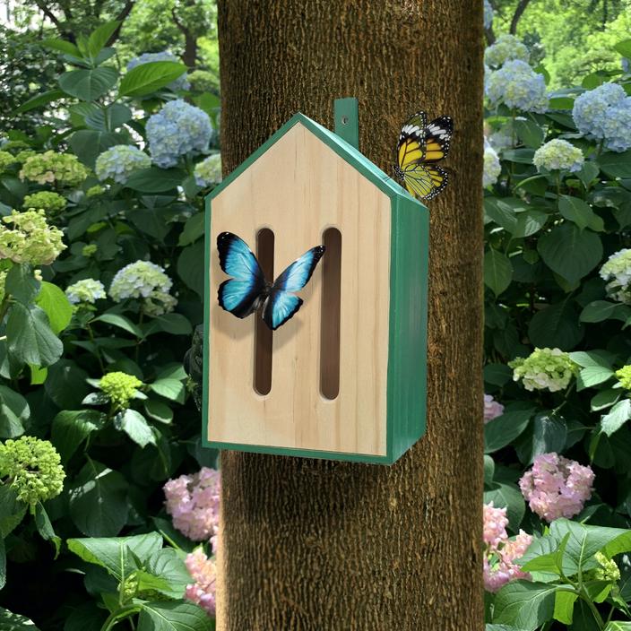 Little Butterfly House - Image 2