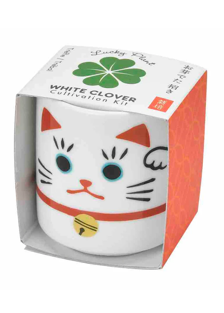 Lucky Plant - Beckoning Cat