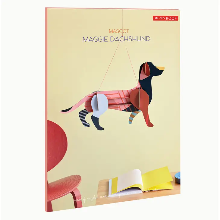 Maggie Dachshund - Image 3