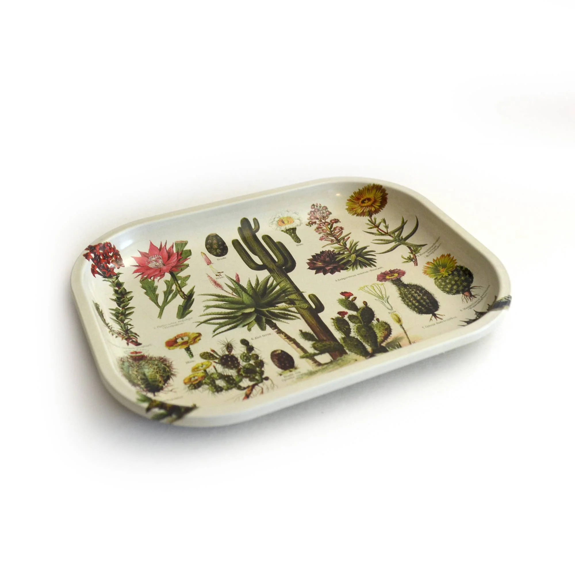 Metal Cacti Tray - Image 2