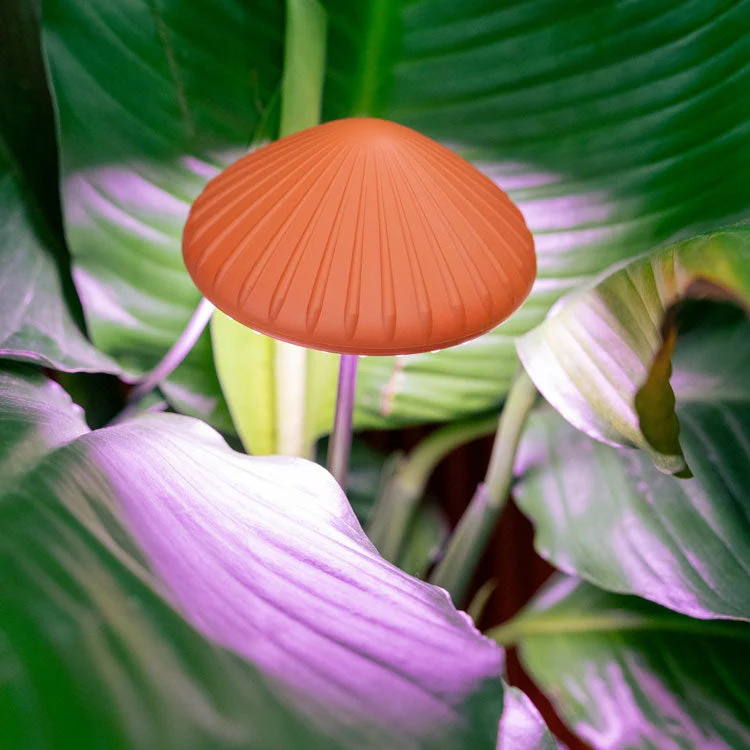 Mushroom Grow Light - Image 3