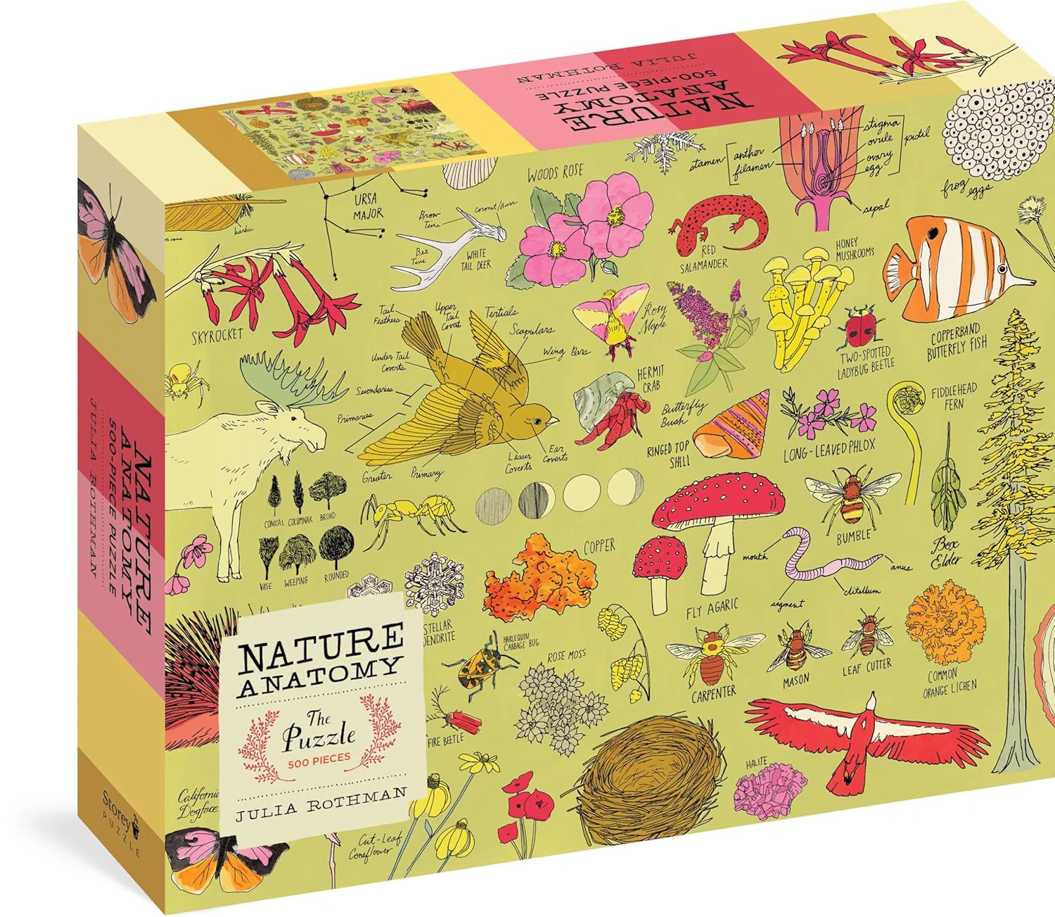 Nature Anatomy: The Puzzle