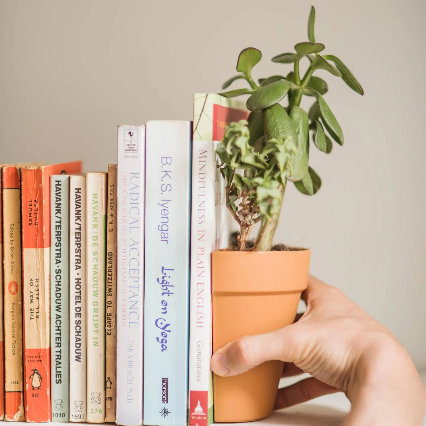 Plant Pot Bookends