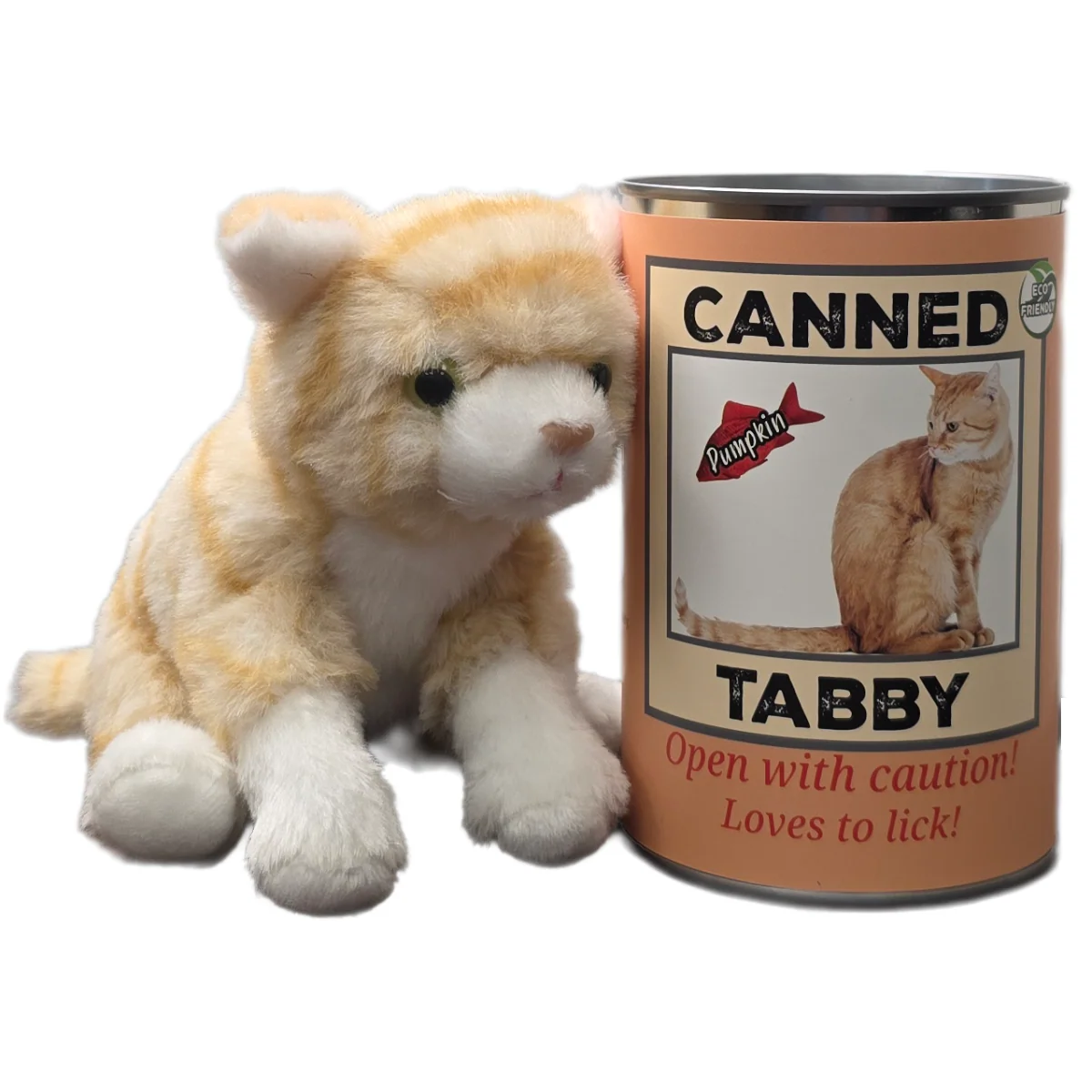 Pumpkin the Canned Orange Tabby Cat