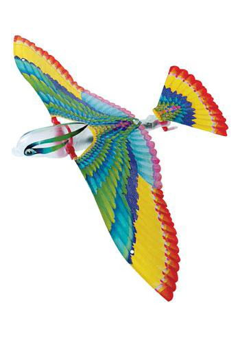 Tim Bird