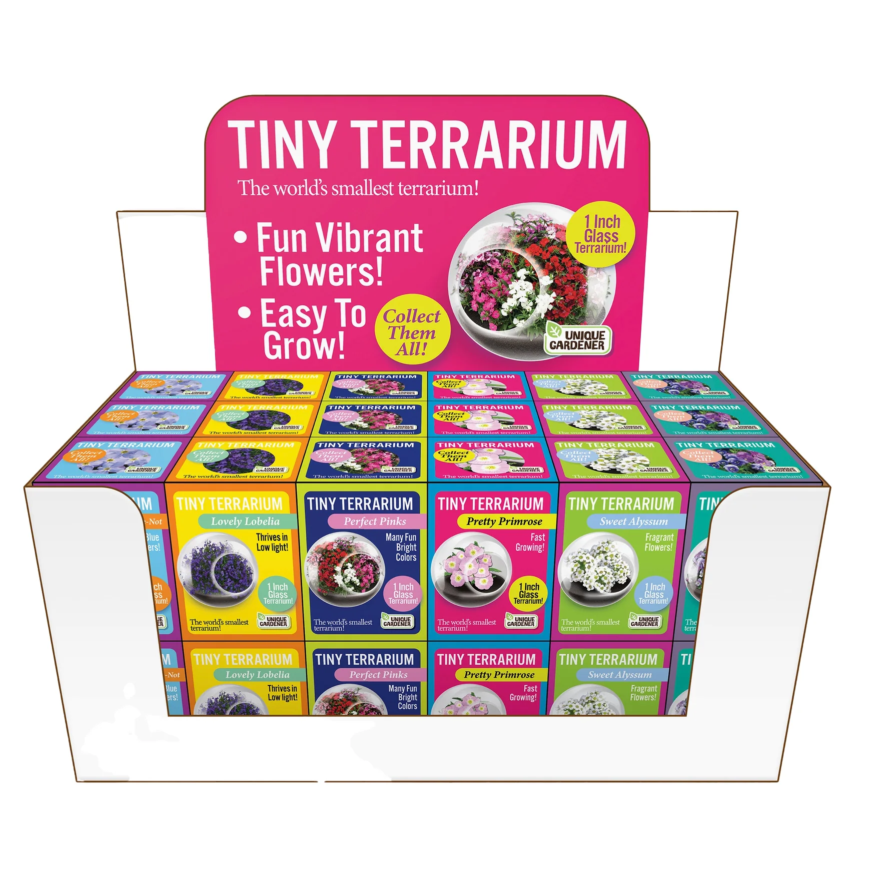 Tiny Carnivorous Glass Terrarium